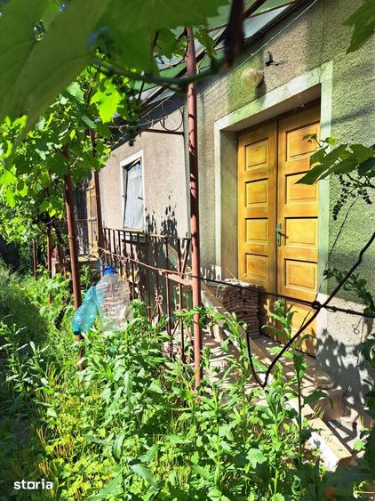 Casă cu 2 camere cu Teren 256 Mp în Central