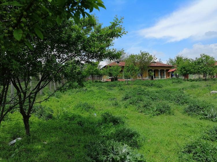 Casă cu 4 camere cu Teren 2300 Mp în Sud