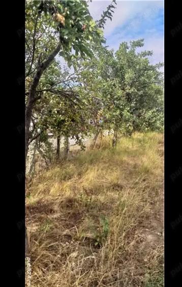 Teren de 3750 mp, în Husasău de Tinca