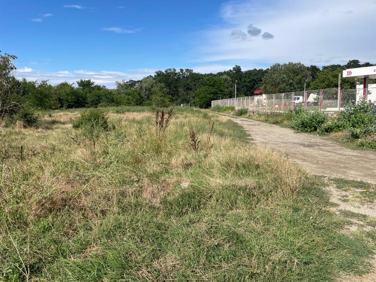 Teren Construcții intravilan de 1803 mp, în Tărtășești