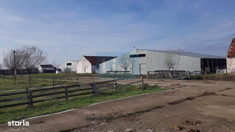 Casă cu 3 camere cu Teren 24281 Mp în Ciortea