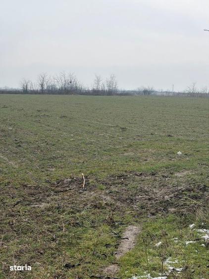 Teren de 9000 mp, în Central