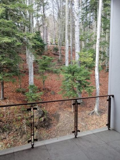 Apartament cu 6 camere decomandat în Sinaia