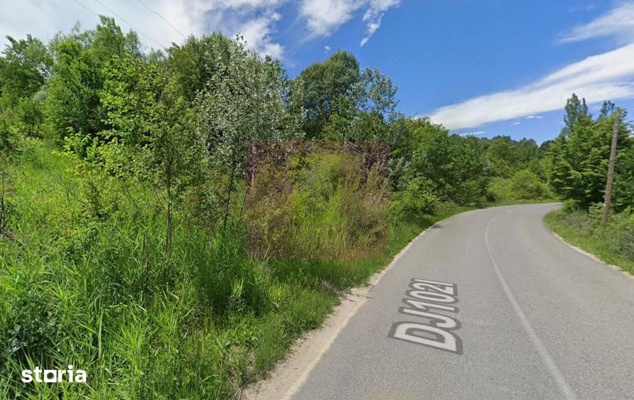 Teren de 3274 mp, în Brebu