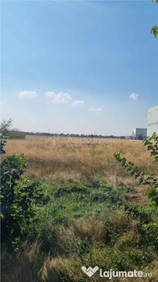 Teren de 25000 mp, în Central