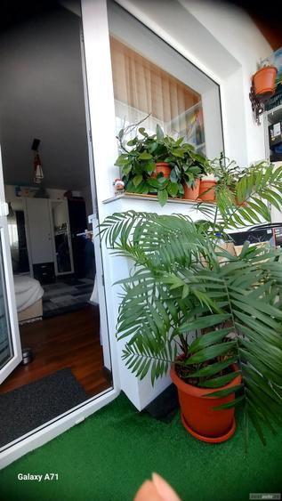 Apartament cu 2 camere decomandat în Hațeg