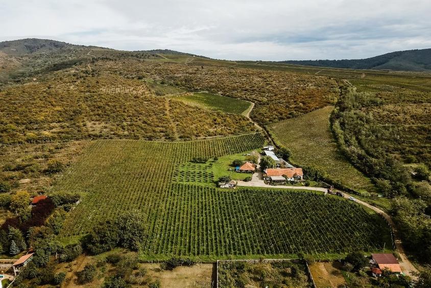 Proprietate specială, de 1,000 mp, în Ghioroc