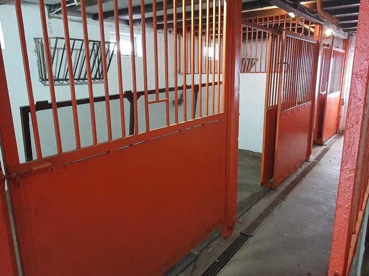 Casă cu 2 camere în Zădăreni