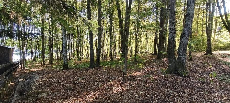 TEREN Intravilan 500-1000mp | Cadru natural deosebit | OCAZIE DE INVESTITIE