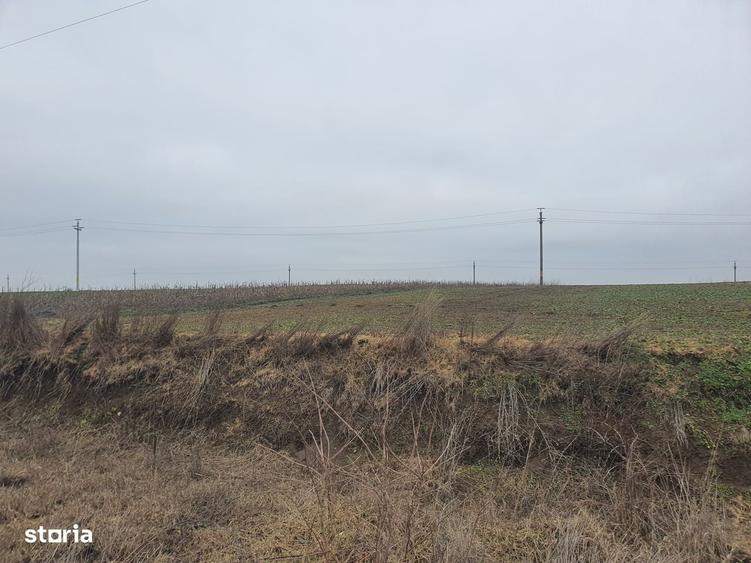 Spațiu comercial, în Albești