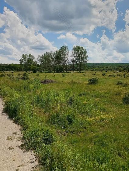 Teren de 1500 mp, în Merișani