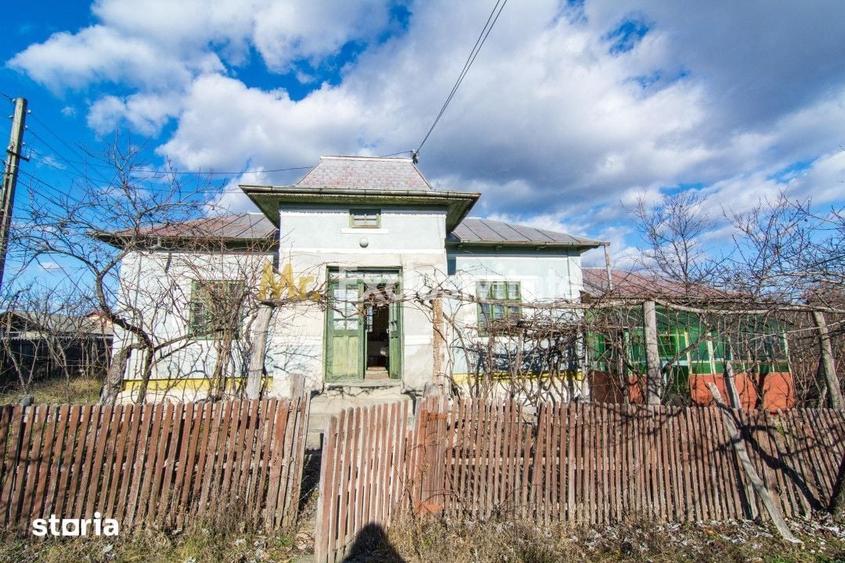 Casă cu 3 camere cu Teren 4145 Mp în Vedea