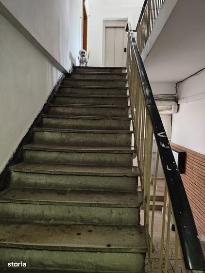 Apartament 3 camere - 4