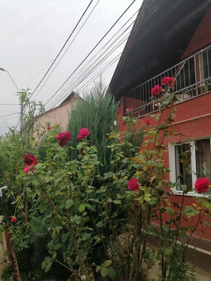 Casă cu 1 camere cu Teren 315 Mp în Ceangăi