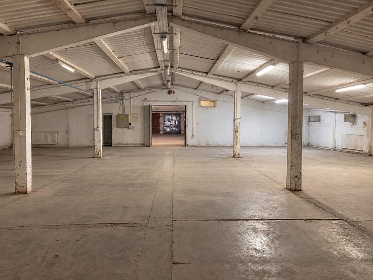 Spațiu industrial, de 2,124 mp, în Careiului