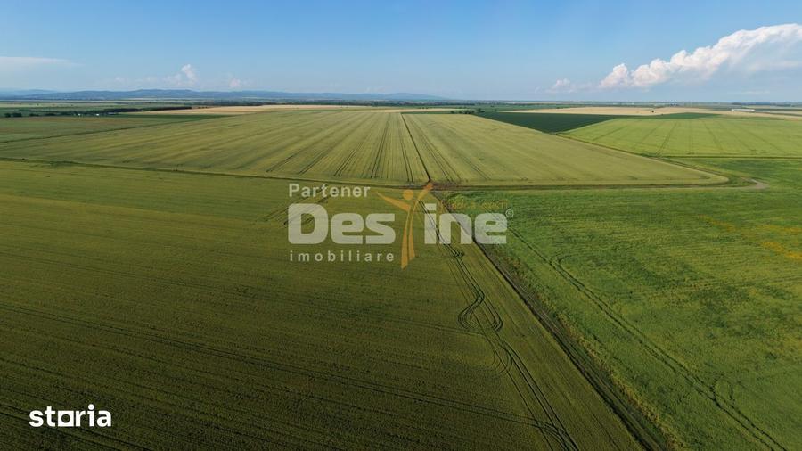 Teren de 41225 mp, în Dumbrava