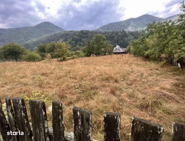 Teren de 3000 mp, în Oituz