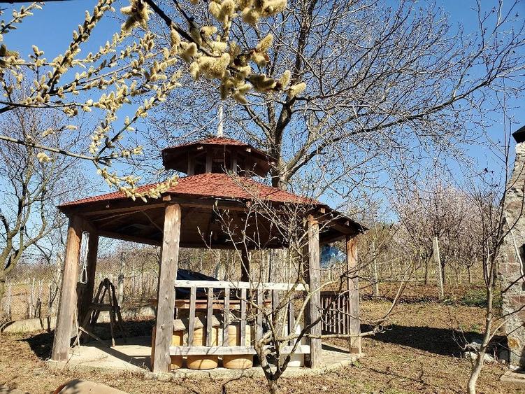 Casă cu Teren 2000 Mp în Liubcova