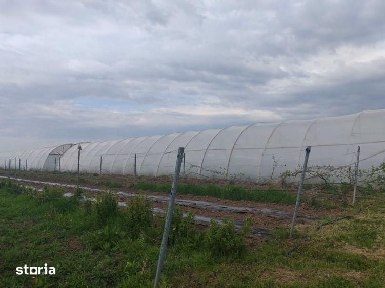 Teren de 9700 mp, în Galda de Jos