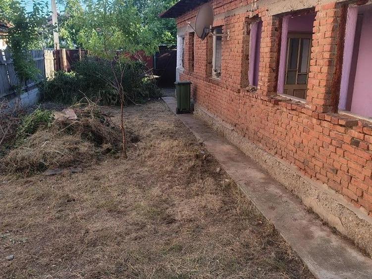 Teren Construcții intravilan de 1100 mp, în Cârcea