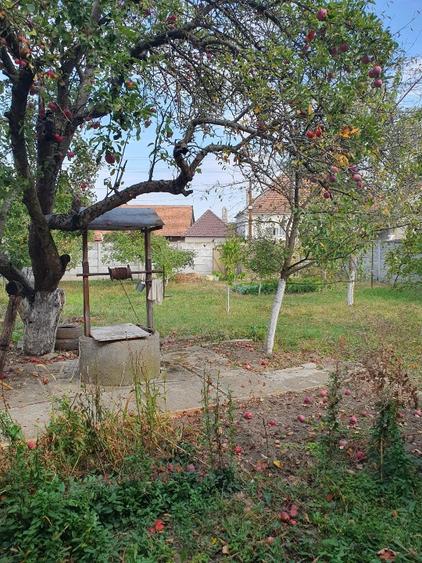 Casă individuală cu 3 camere cu Teren 3000 Mp în Cornățel