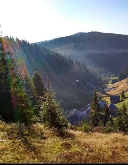 Spațiu comercial, în Poiana Horea