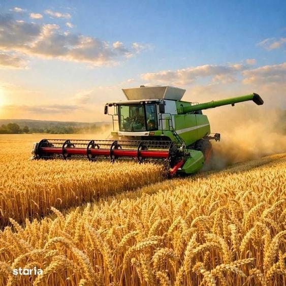 Vind teren extravilan agricol in suprafata de 6,90 hectare - 1
