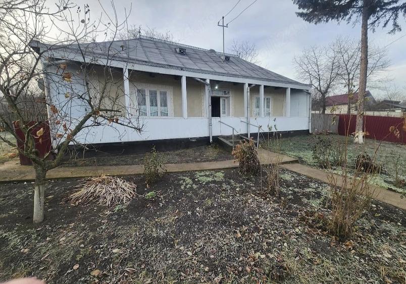 Casă cu Teren 40 Mp în Saucenița