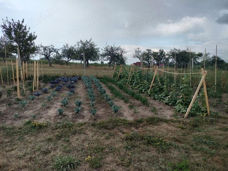 Teren de 35 mp, în Central
