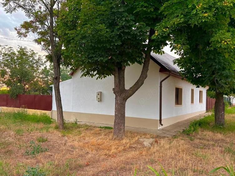 Casă cu 2 camere cu Teren 800 Mp în Cruceni