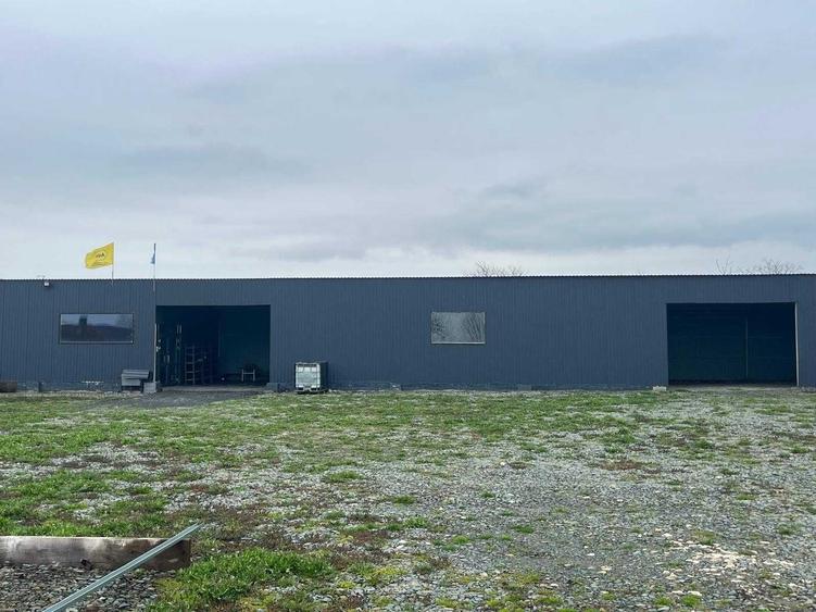 Teren de 2200 mp, în Comana