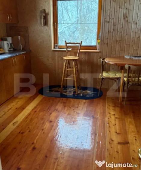 Casă cu 4 camere cu Teren 4302 Mp în Geoagiu-Băi