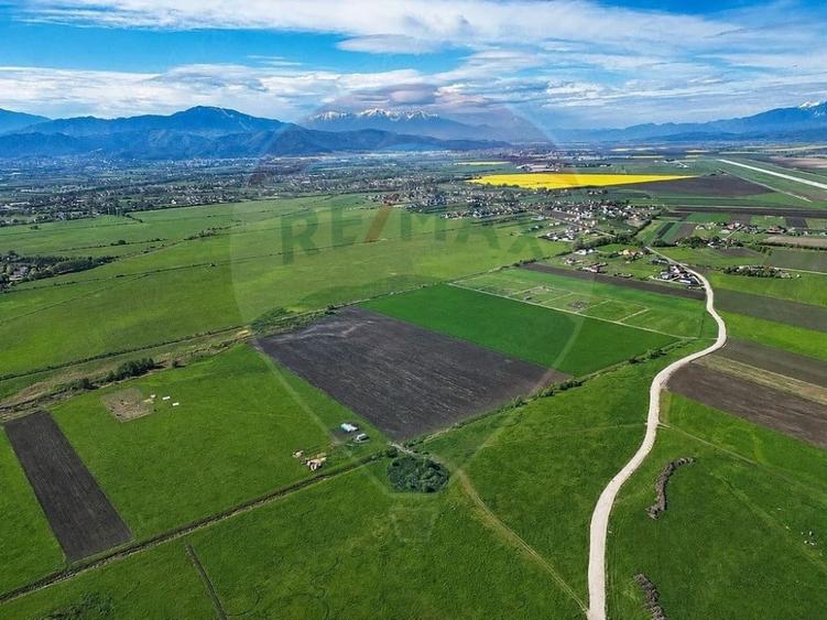 Teren de 8600 mp, în Stupini