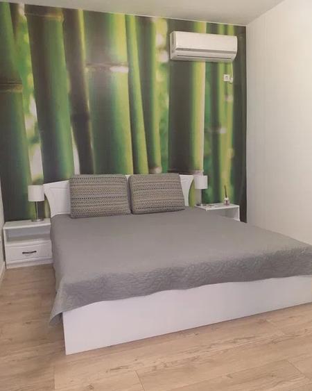 Apartament cu 2 camere semidecomandat, mobilat în Armeneasca