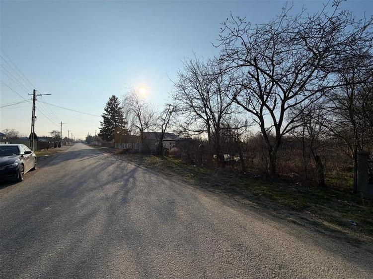 Teren Construcții intravilan de 6057 mp, în Rădulești