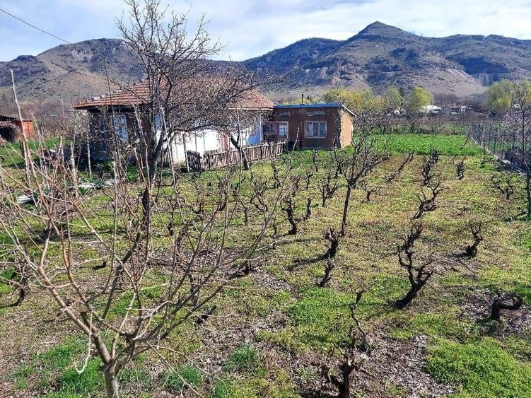 Spațiu comercial, în Greci