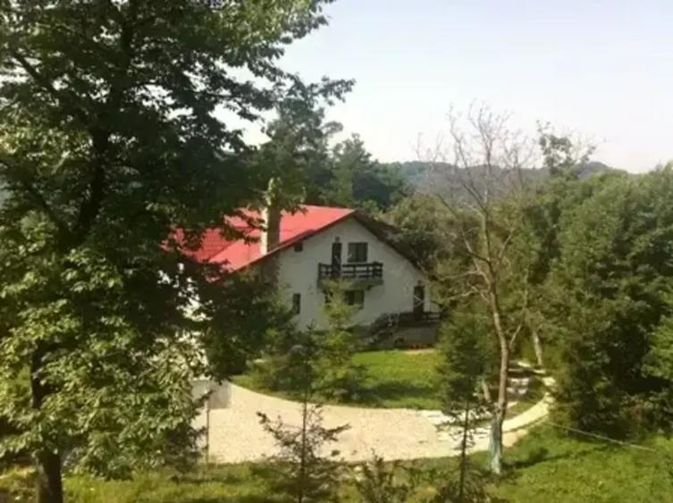 Casă cu 6 camere cu Teren 6200 Mp în Provița de Jos