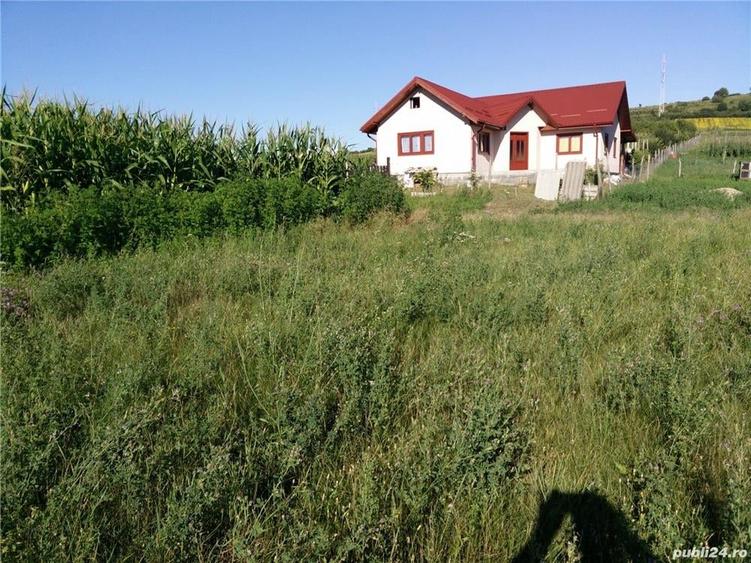 Teren de 3050 mp, în Peștișu Mare
