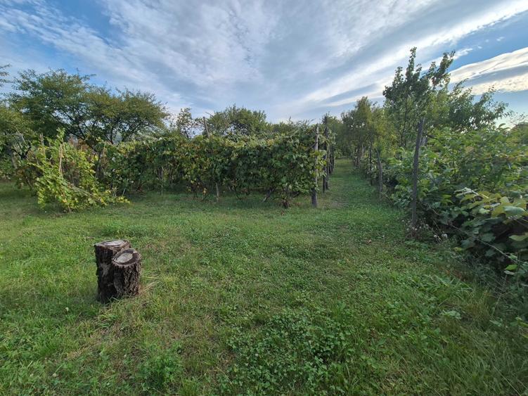 Casă cu 2 camere în Pârâu Boghii