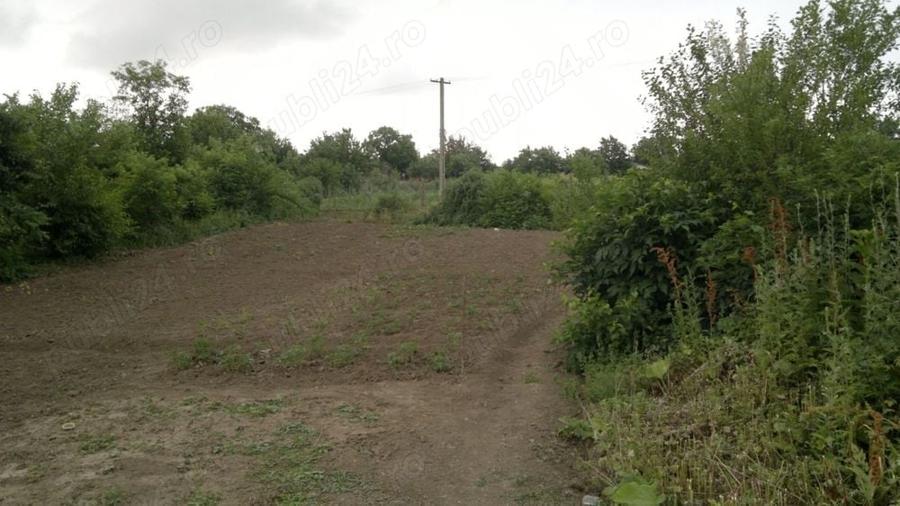 Teren de 1330 mp, în Răzoarele