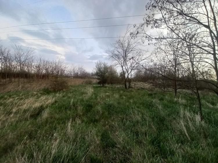 Teren agricol intravilan de 10568 mp, în Snagov