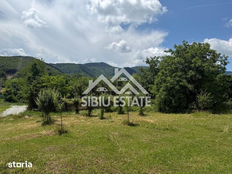 Teren Intravilan 650 mp de Vanzare in Tocile - 4