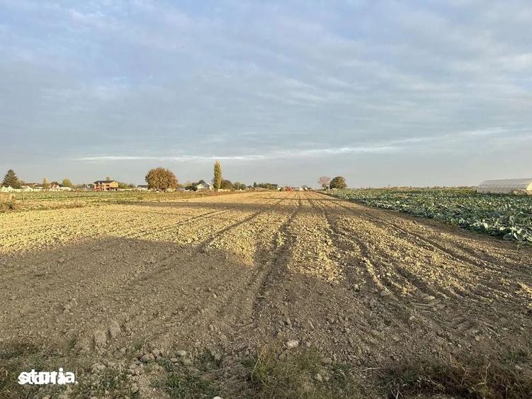 Teren de 10000 mp, în Slobozia