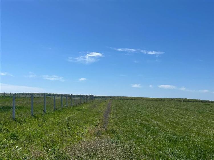 Teren intravilan de 492 mp, în Sânmartin
