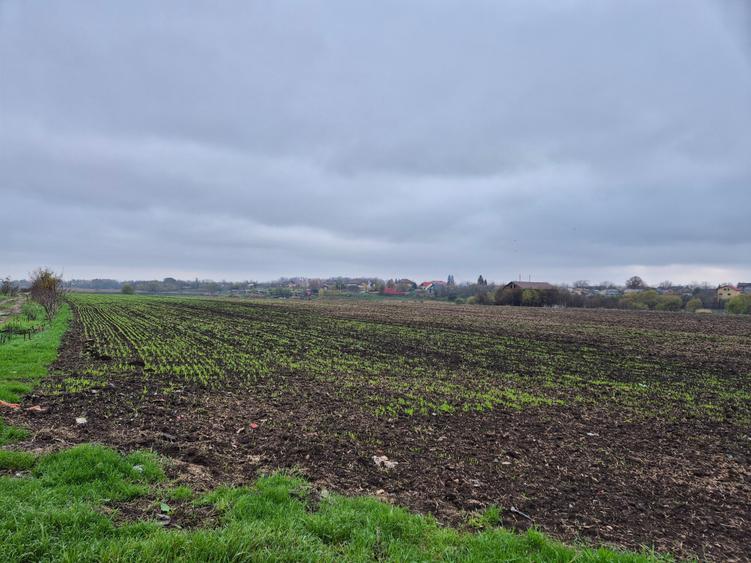 Teren Construcții intravilan de 1200 mp, în Pasărea