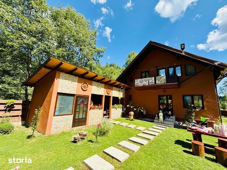 Casa de vanzare + 5.500 mp teren + 2 iazuri | Valea Putnei Pojorata - 13
