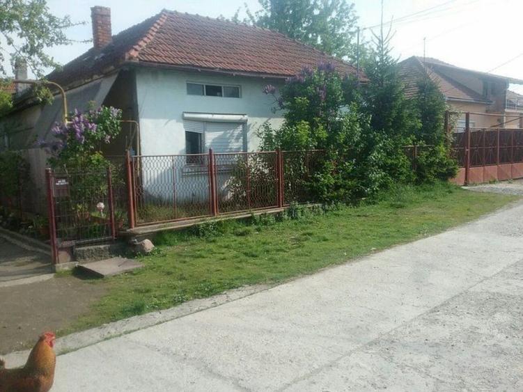 ID:16525 Casa si Teren Licitatie publica - 4