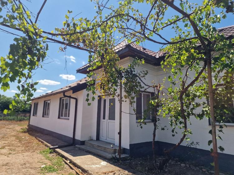 Casă cu 3 camere în Țânțăreni