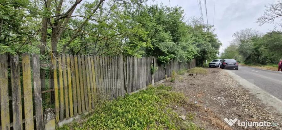 Casă cu 7 camere cu Teren 4200 Mp în Costești