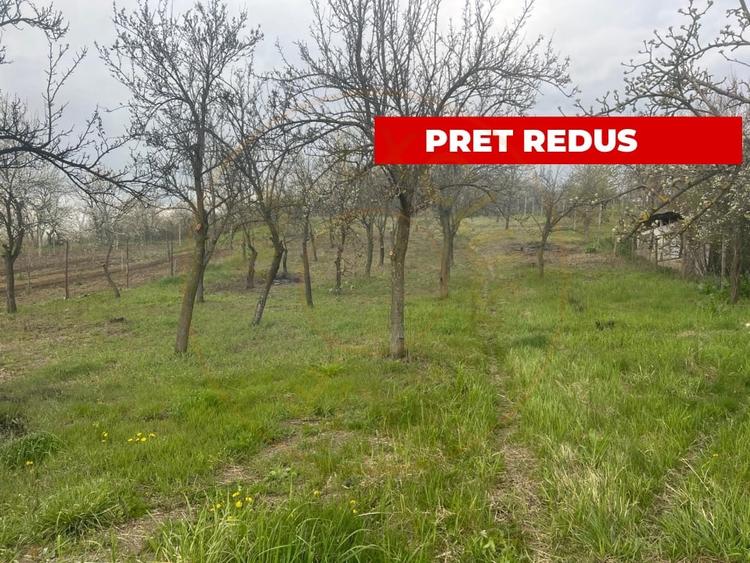 Teren Construcții intravilan de 2200 mp, în Călinești